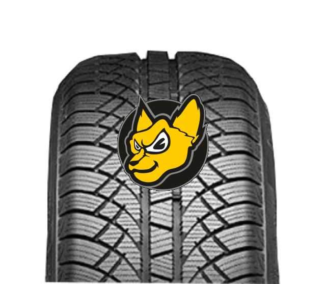 Sunny NW611 Wintermax 195/60 R15 88T